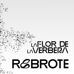 La flor de la verbena