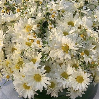 『韩系』温柔梦境｜治愈空间