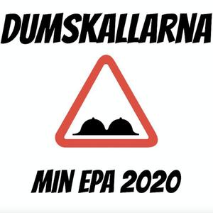 MIN EPA 2020