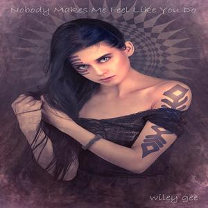 Nobody Makes Me Feel Like You Do