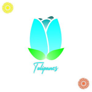 Tulipanes