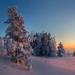 吃醋就是小心眼
