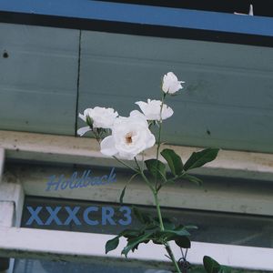 Holdback (Radio Edit)