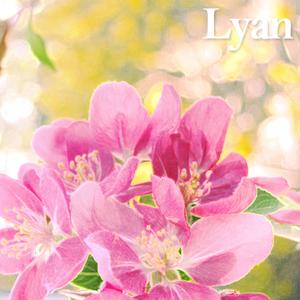 예쁜 봄 꽃이 피었습니다