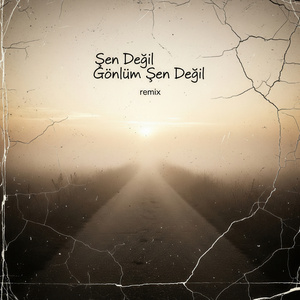Şen Değil Gönlüm Şen Değil (Remix)