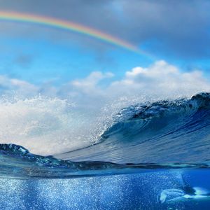 我只要再次见到你