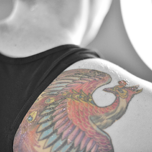 Asfura Ustura (Pheonix)