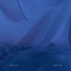 INSONO