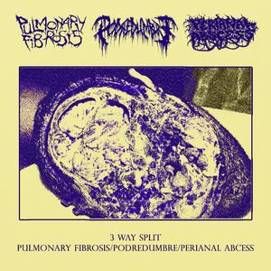 Vomited With Bile By a Disgusting Entity Into a Morbid Abyss