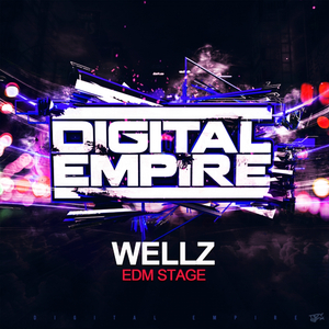 EDM Stage (Original Mix)