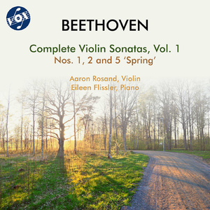 Violin Sonata No. 5 in F Major, Op. 24, "Spring":IV. Rondo: Allegro ma non troppo