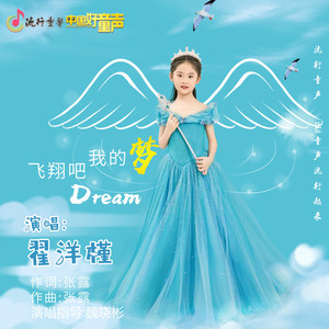 飞翔吧，我的梦