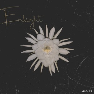 Enlight