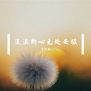 流浪的心无处安放 干声