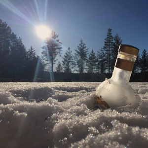 Пушкин (Под голубыми небесами)