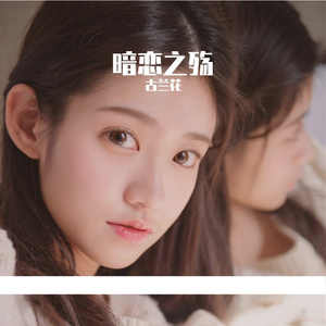暗恋之殇