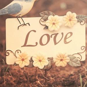 咬一口热恋冰淇淋