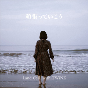 頑張っていこう