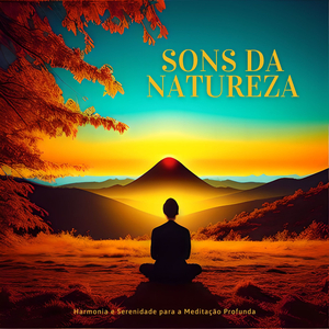 Nascer do Sol na Floresta