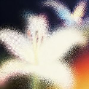 悲伤是爱的一部分