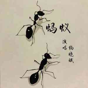 蚂蚁