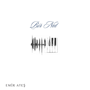 İnanamadım Gittiğine