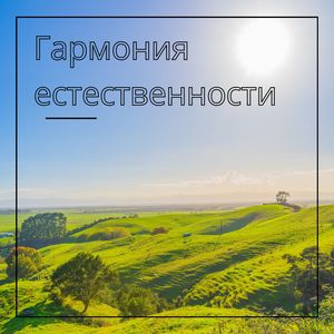 Натуральный покой