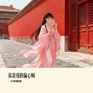 你是爱的偷心贼