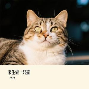 来生做一只猫 (Cover 空想之喵)