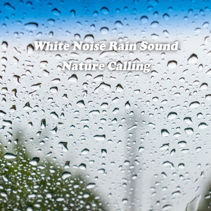 백색소음 비오는 소리