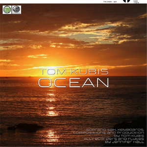 Night Falling on the Ocean Waves