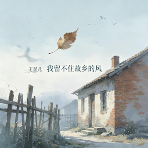 我留不住故乡的风