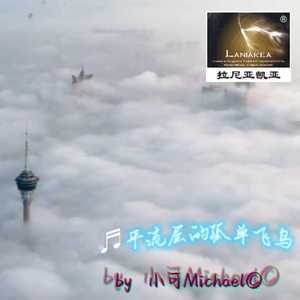 平流层的孤单飞鸟