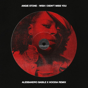 Wish I Didn't Miss You (Alessandro Basile x Hoodia Remix)