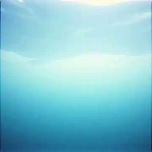 Liquid Silence （液态寂静）