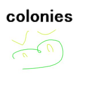 colonies