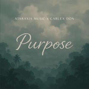 Purpose (feat. Carlex Don)