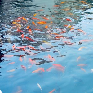 《April Encounter》.mp3