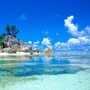 此生已过半昨日依附着青山