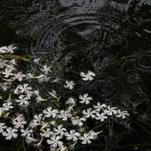 "唯一"Lazy x 网感忧郁 x 4444 type beat