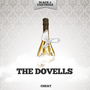 Why Not You (Original Mix)