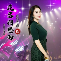 花落相思雨 (DJ默涵版)