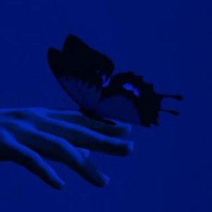 心中藏有某片蓝海