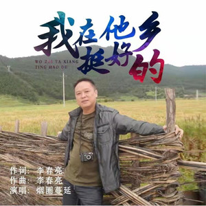 我在他乡挺好的