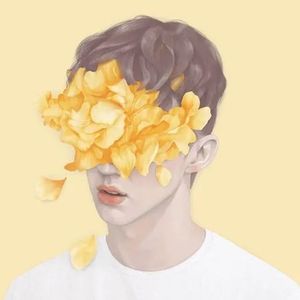 人气不过肥皂泡