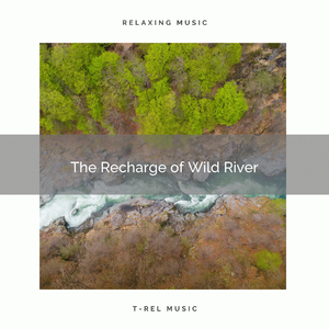 Sleepy Sounds of Wild Birds Calls with Wild River