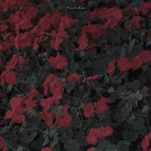 love u(prod by Sun Beat 今晚不睡觉