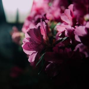 Detroit-Become human(Opening Theme)