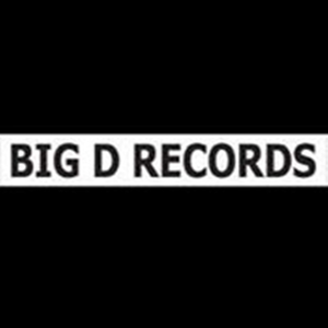I Feel Your Lovin (JD's Gutair Lovin Remix)