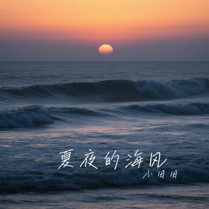 夏夜的海风